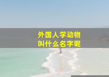 外国人学动物叫什么名字呢