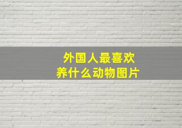 外国人最喜欢养什么动物图片