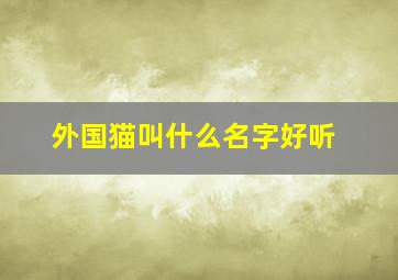 外国猫叫什么名字好听