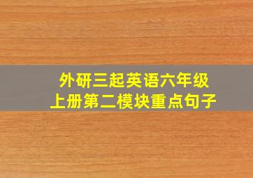 外研三起英语六年级上册第二模块重点句子