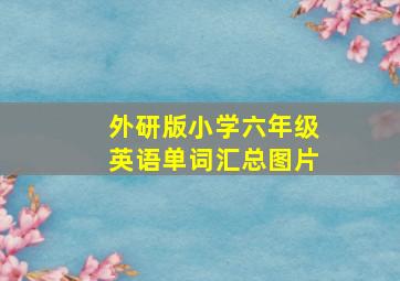 外研版小学六年级英语单词汇总图片