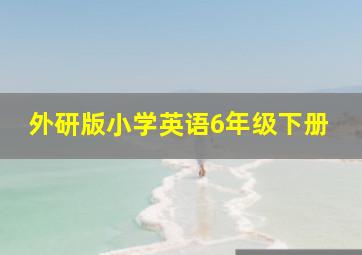 外研版小学英语6年级下册