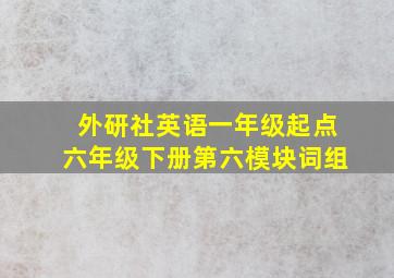 外研社英语一年级起点六年级下册第六模块词组