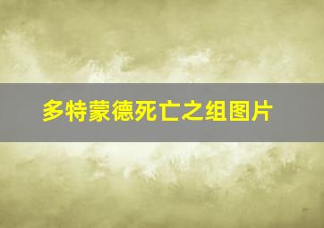 多特蒙德死亡之组图片