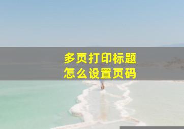 多页打印标题怎么设置页码