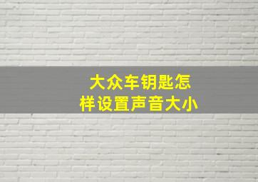 大众车钥匙怎样设置声音大小