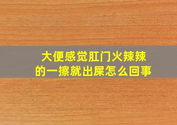 大便感觉肛门火辣辣的一擦就出屎怎么回事