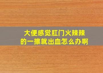 大便感觉肛门火辣辣的一擦就出血怎么办啊