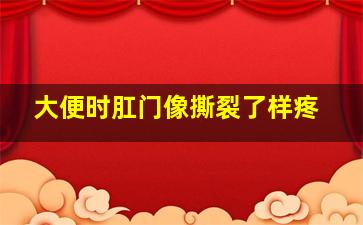 大便时肛门像撕裂了样疼