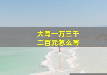 大写一万三千二百元怎么写