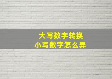 大写数字转换小写数字怎么弄