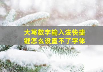 大写数字输入法快捷键怎么设置不了字体