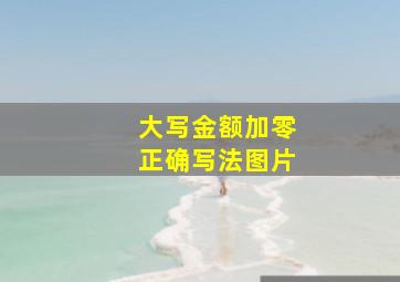 大写金额加零正确写法图片