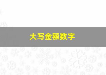 大写金额数字