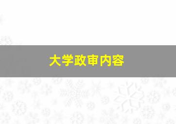 大学政审内容