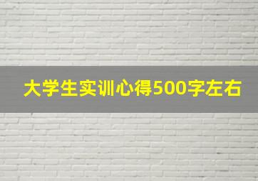 大学生实训心得500字左右