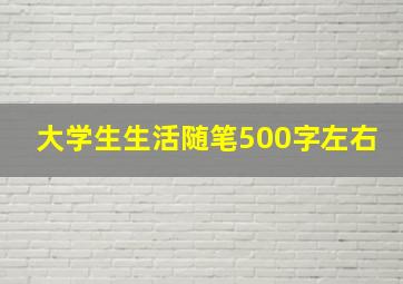 大学生生活随笔500字左右