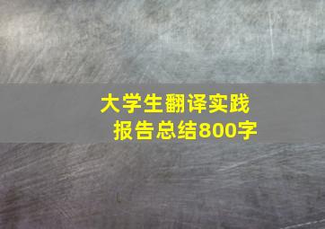 大学生翻译实践报告总结800字