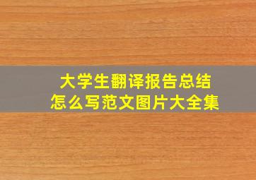 大学生翻译报告总结怎么写范文图片大全集