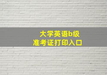 大学英语b级准考证打印入口