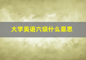 大学英语六级什么意思