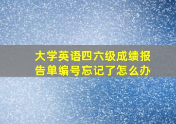 大学英语四六级成绩报告单编号忘记了怎么办