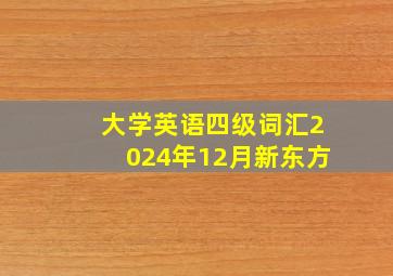 大学英语四级词汇2024年12月新东方