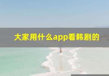 大家用什么app看韩剧的