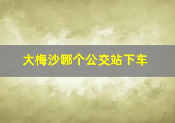 大梅沙哪个公交站下车