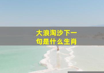 大浪淘沙下一句是什么生肖