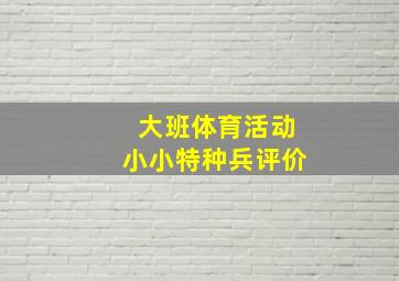 大班体育活动小小特种兵评价