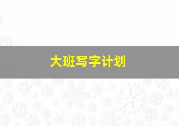 大班写字计划