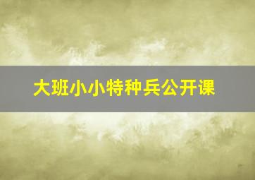 大班小小特种兵公开课