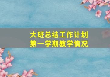 大班总结工作计划第一学期教学情况