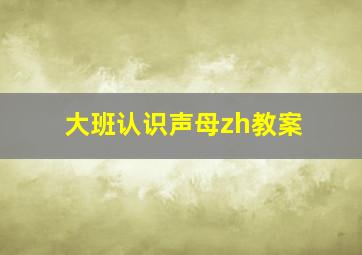 大班认识声母zh教案