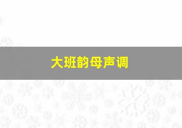 大班韵母声调