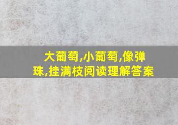 大葡萄,小葡萄,像弹珠,挂满枝阅读理解答案