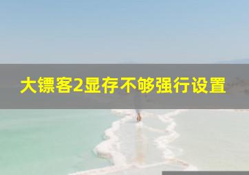 大镖客2显存不够强行设置