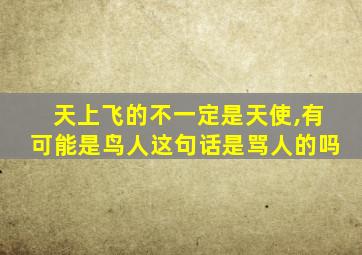 天上飞的不一定是天使,有可能是鸟人这句话是骂人的吗