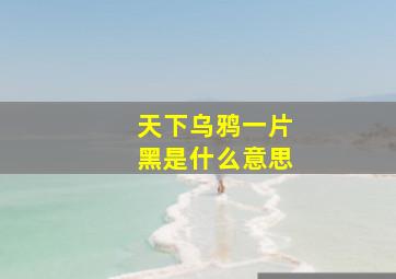 天下乌鸦一片黑是什么意思