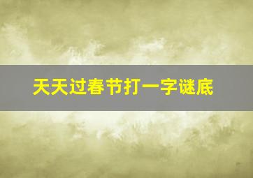 天天过春节打一字谜底