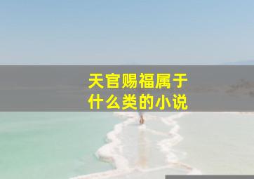 天官赐福属于什么类的小说