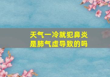 天气一冷就犯鼻炎是肺气虚导致的吗