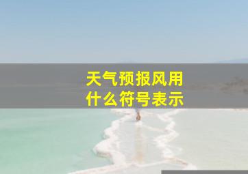 天气预报风用什么符号表示