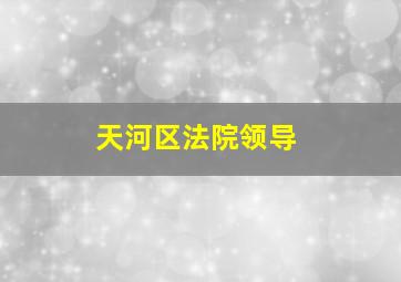 天河区法院领导