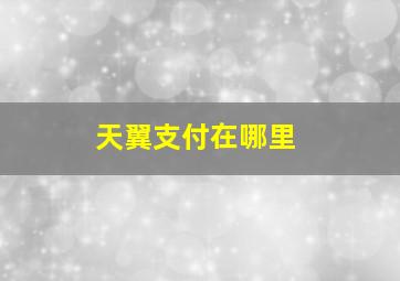 天翼支付在哪里