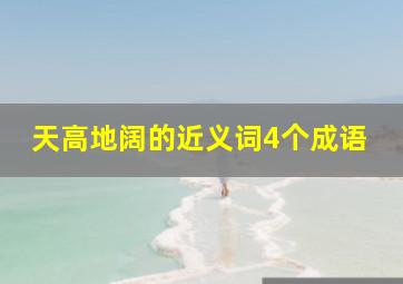 天高地阔的近义词4个成语