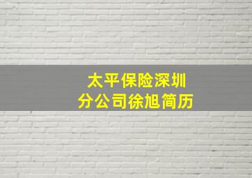 太平保险深圳分公司徐旭简历