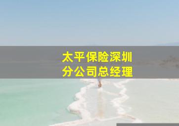 太平保险深圳分公司总经理