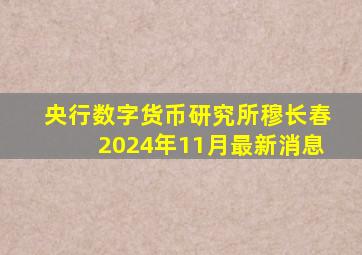 央行数字货币研究所穆长春2024年11月最新消息